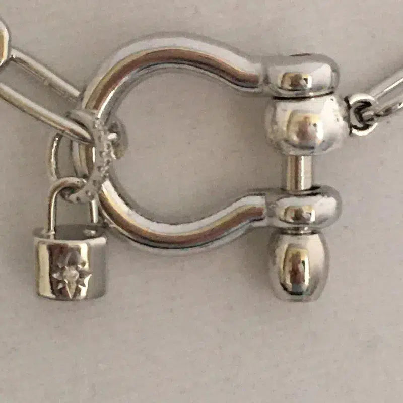 Carabiner Chain Necklace-Choker Necklace-Clasp Chain Necklace-Silver Cable Necklace-Silver Shackle Necklace-Shackle Jewelry-Padlock Charm