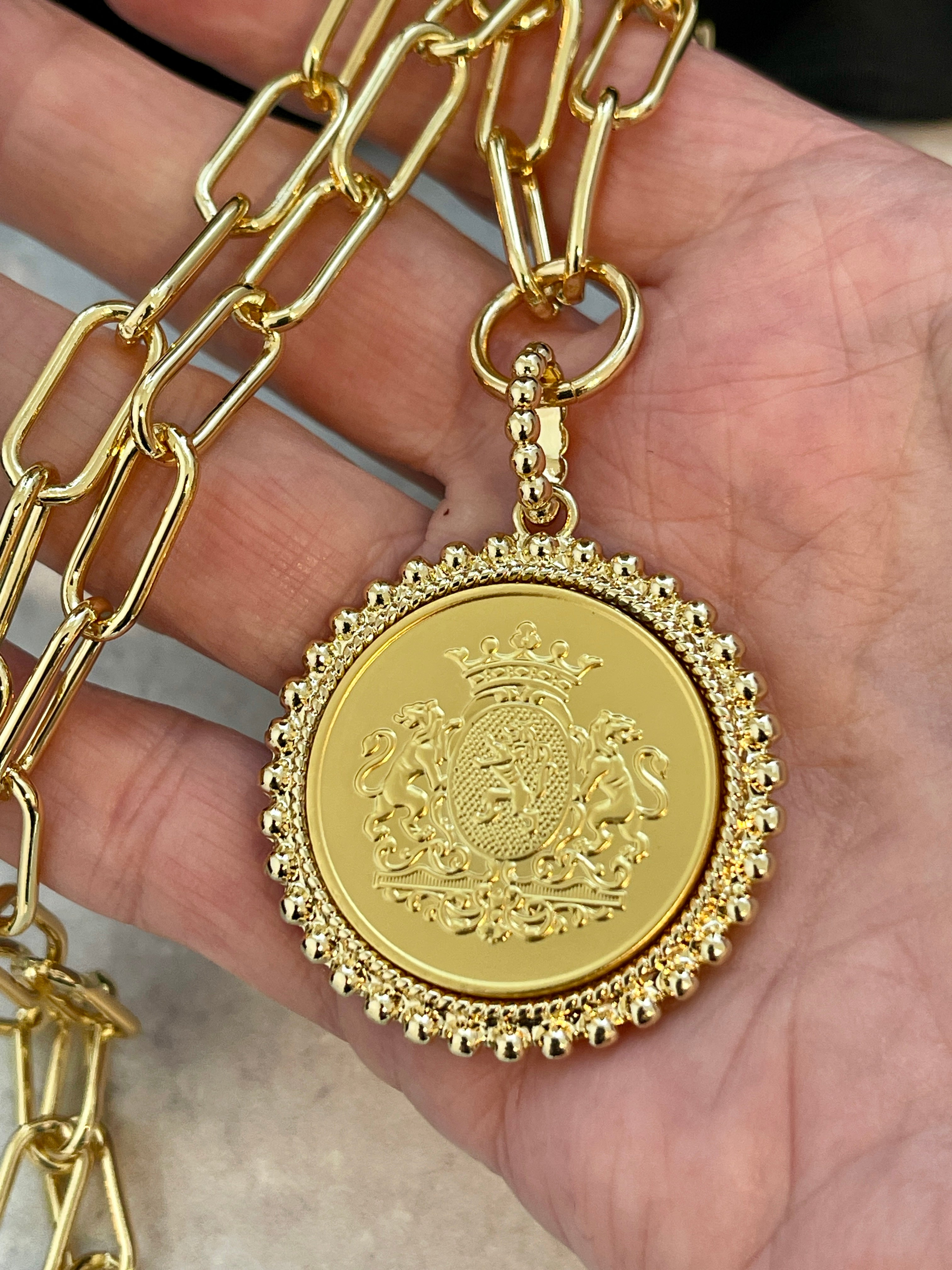 Gold Shield Coin Pendant-Gold Paperclip Chain- Shield Pendant with Textured Bezel-Toggle Clasp